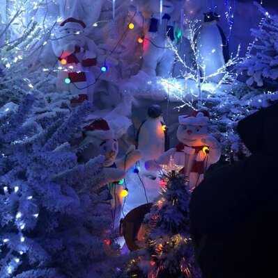 Stewarts Christchurch Garden Centre