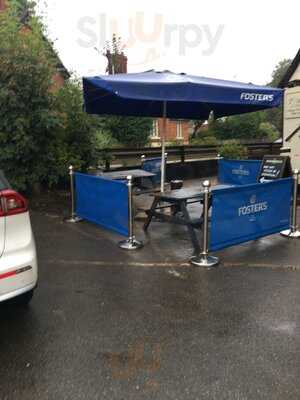 The Plume Of Feathers