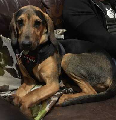 The Lymestone Vaults