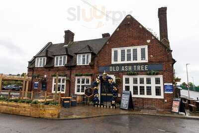 Old Ash Tree