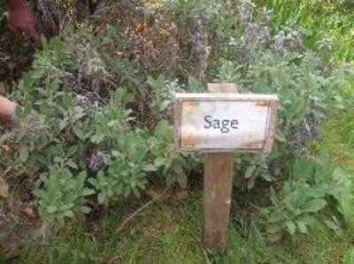 Squires Restaurant At Bridgewood Manor