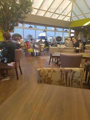 L'oliveta At Summerhill