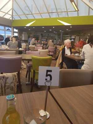 L'oliveta At Summerhill