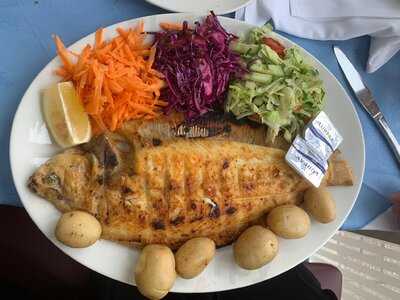 Fresh Fry Fish N Chips