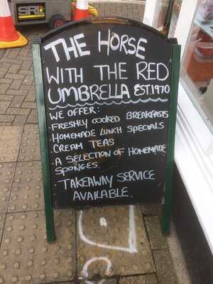 The Horse With The Red Umbrella