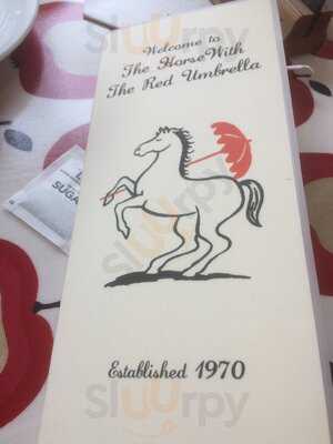 The Horse With The Red Umbrella