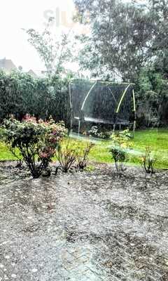 Markham's Fish And Chips