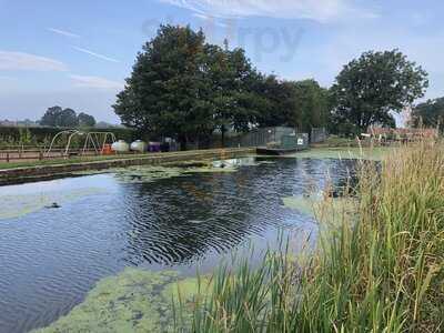 The Dirty Duck Public House