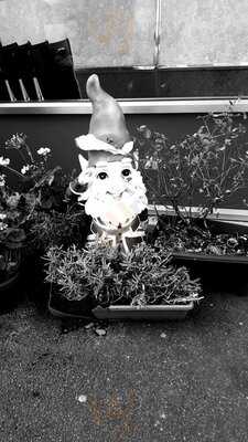 Arcade Fish Restaurant