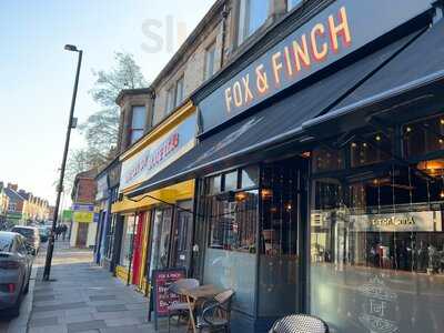 Fox & Finch