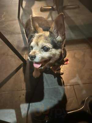 Firehouse Bar And Grill