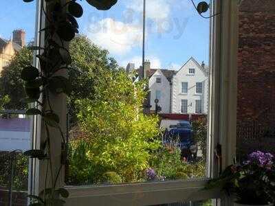 The Conduit Tea Garden - Bistro - Wine Bar