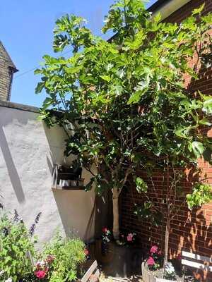 Whitstable Produce Store
