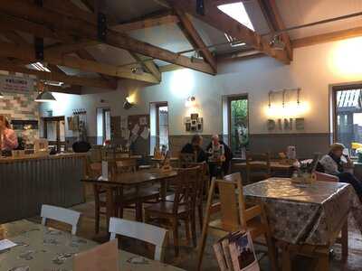 The Greedy Pig Cafe And Tea Room