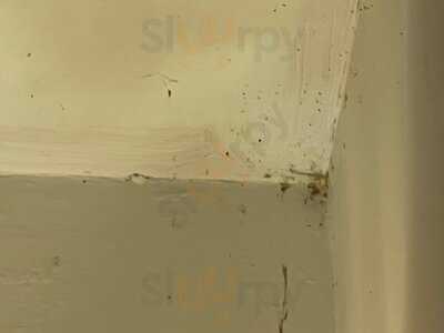 The Navigation Harvester