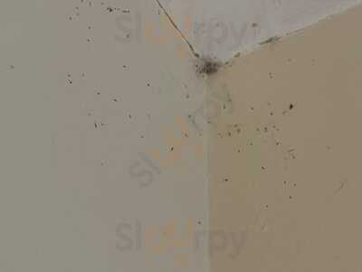 The Navigation Harvester