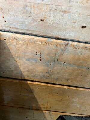 Merry Monk Beefeater