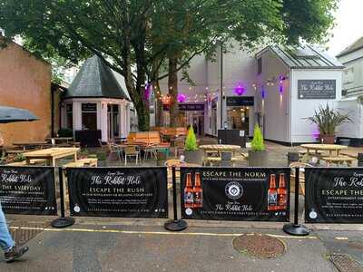 Escape Down The Rabbit Hole