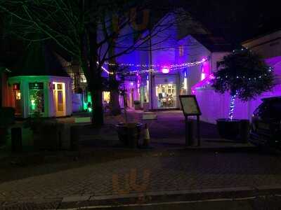 Escape Down The Rabbit Hole