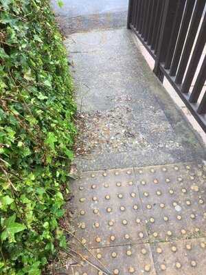 The Greyhound Harlow