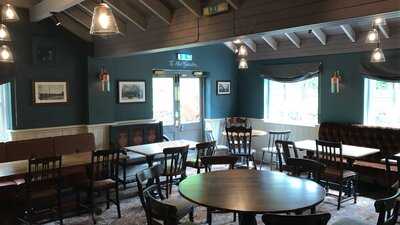 The Greyhound Harlow