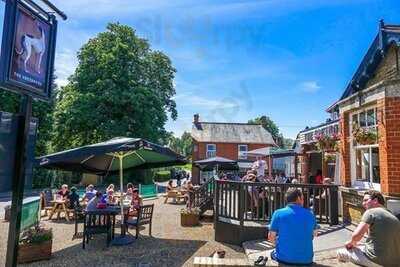 The Greyhound Harlow