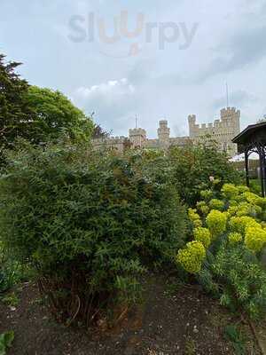 Tower Hill Tea Gardens