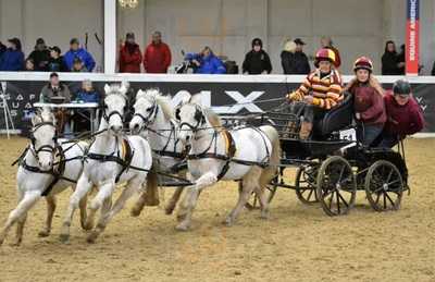 The Pavilion At Arena Uk