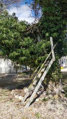 Birchwood Cottage Gallery & Tearoom