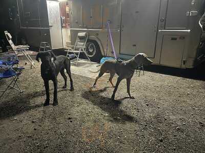 Sheepgate Tack & Togs