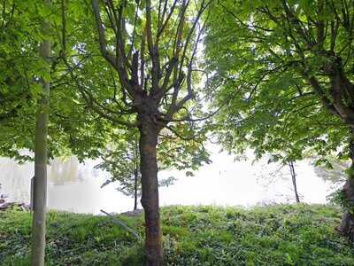 Sheepgate Tack & Togs