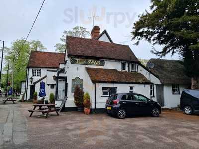 The Swan