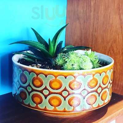 Cafe Revival At The Horsebridge