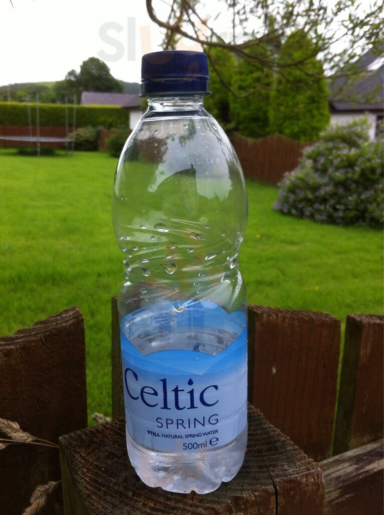 Central Fish Restaurant