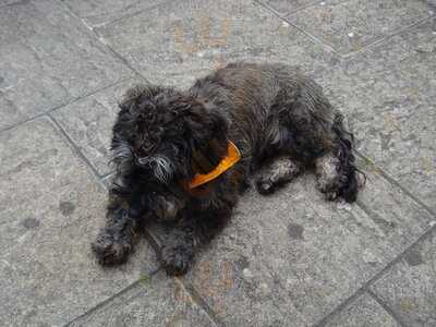 Clumber Park Restaurant