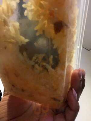 Golden Dragon Ii Chinese Takeaway