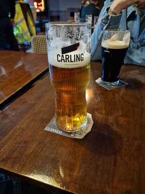 The Stag And Pheasant