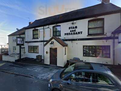 The Stag And Pheasant