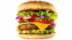 Greenhill's King Cod