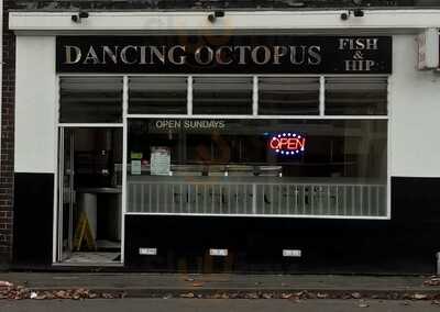 Dancing Octopus