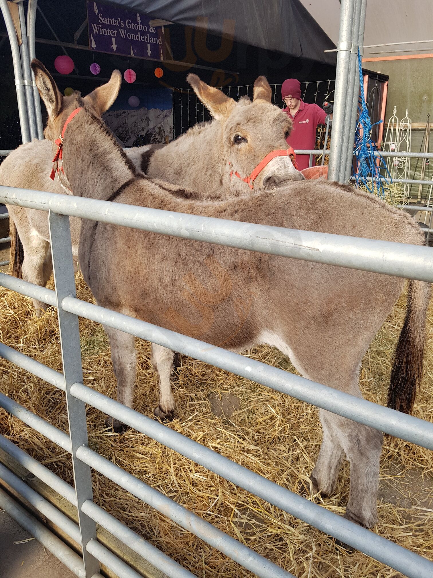 Four Seasons Coffee Shop