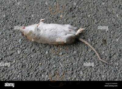 Kfc Grantham - Harlaxton Road