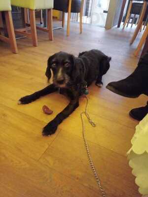 Tiny Tim's Tea Rooms