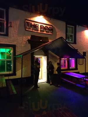 The Dog & Bar B7