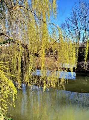 Clubhouse Yeovil Golf Club