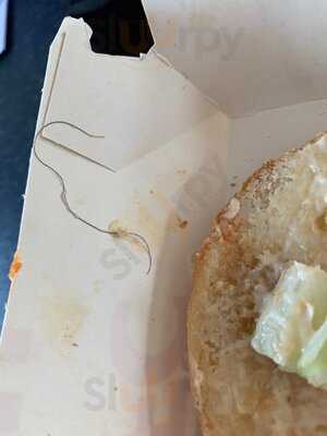 Kfc Barnstable - Roundwell Services