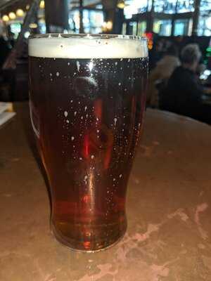 Abraham Darby - Jd Wetherspoon