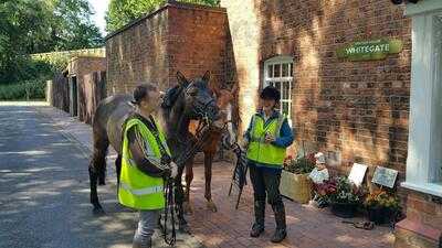 Station House Whitegate