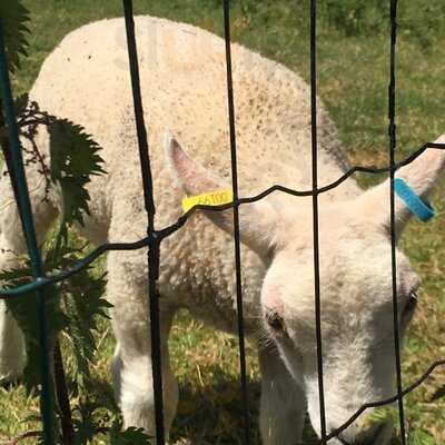Abbeywood Gardens Restaurant