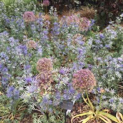 Abbeywood Gardens Restaurant